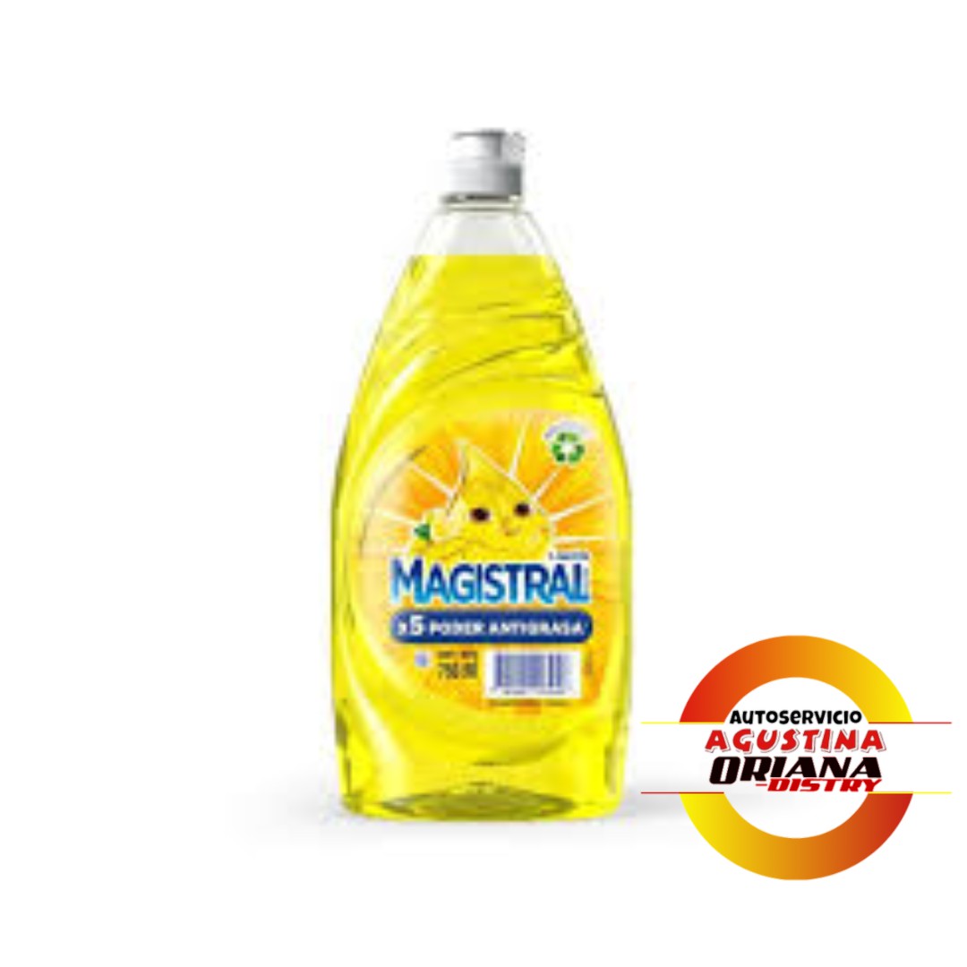 DETERGENTE 750 MAGISTRAL