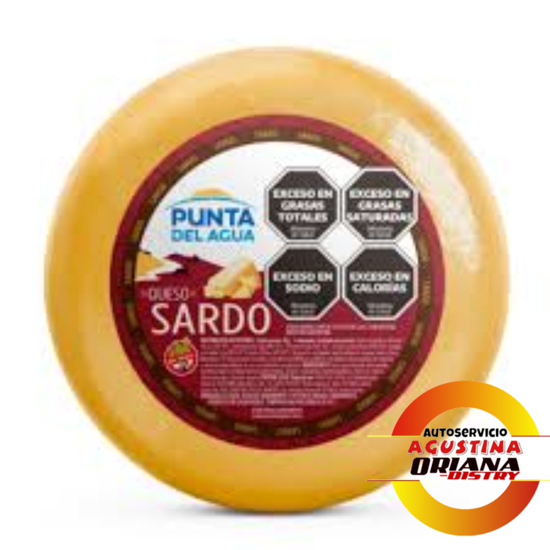 QUESO SARDO PUNTA DE AGUA