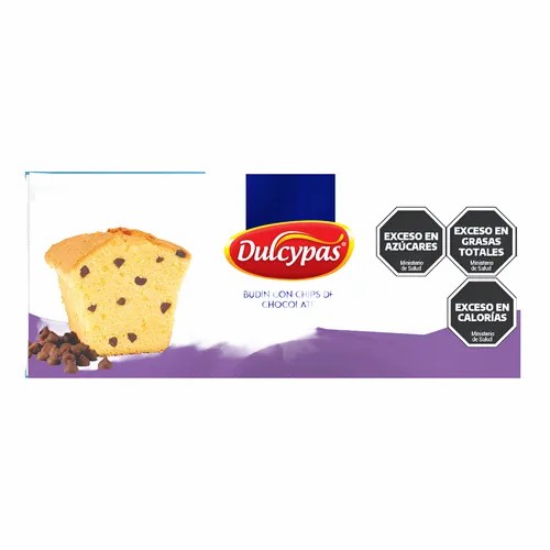 BUDIN 170G CHIPS DULCYPAS