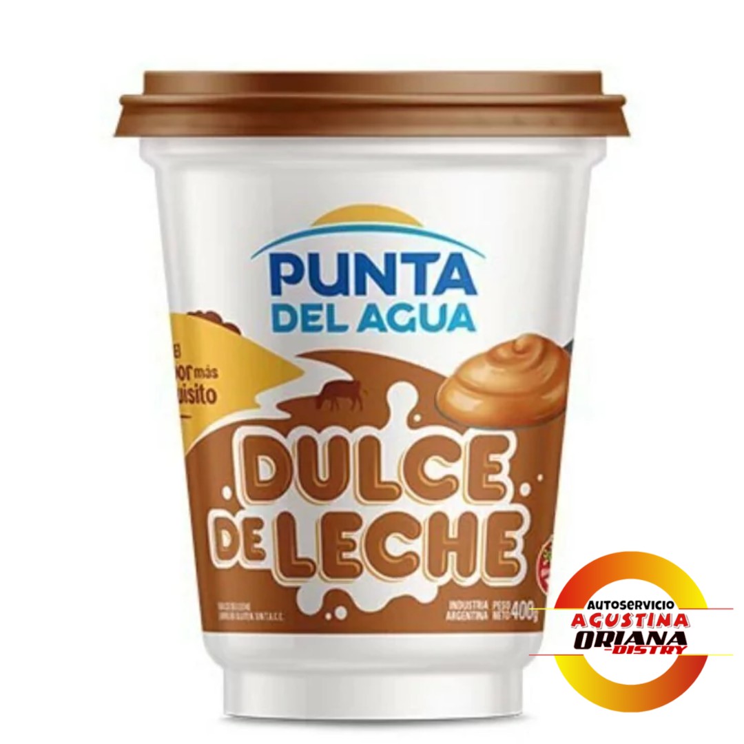 DULCE DE LECHE PUNTA DE AGUA 400G
